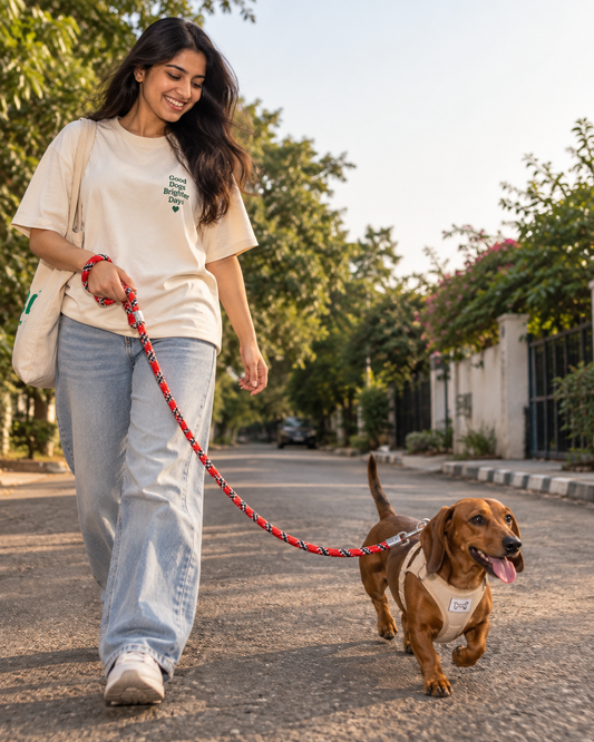 TPL 12mm Rope Leash Red