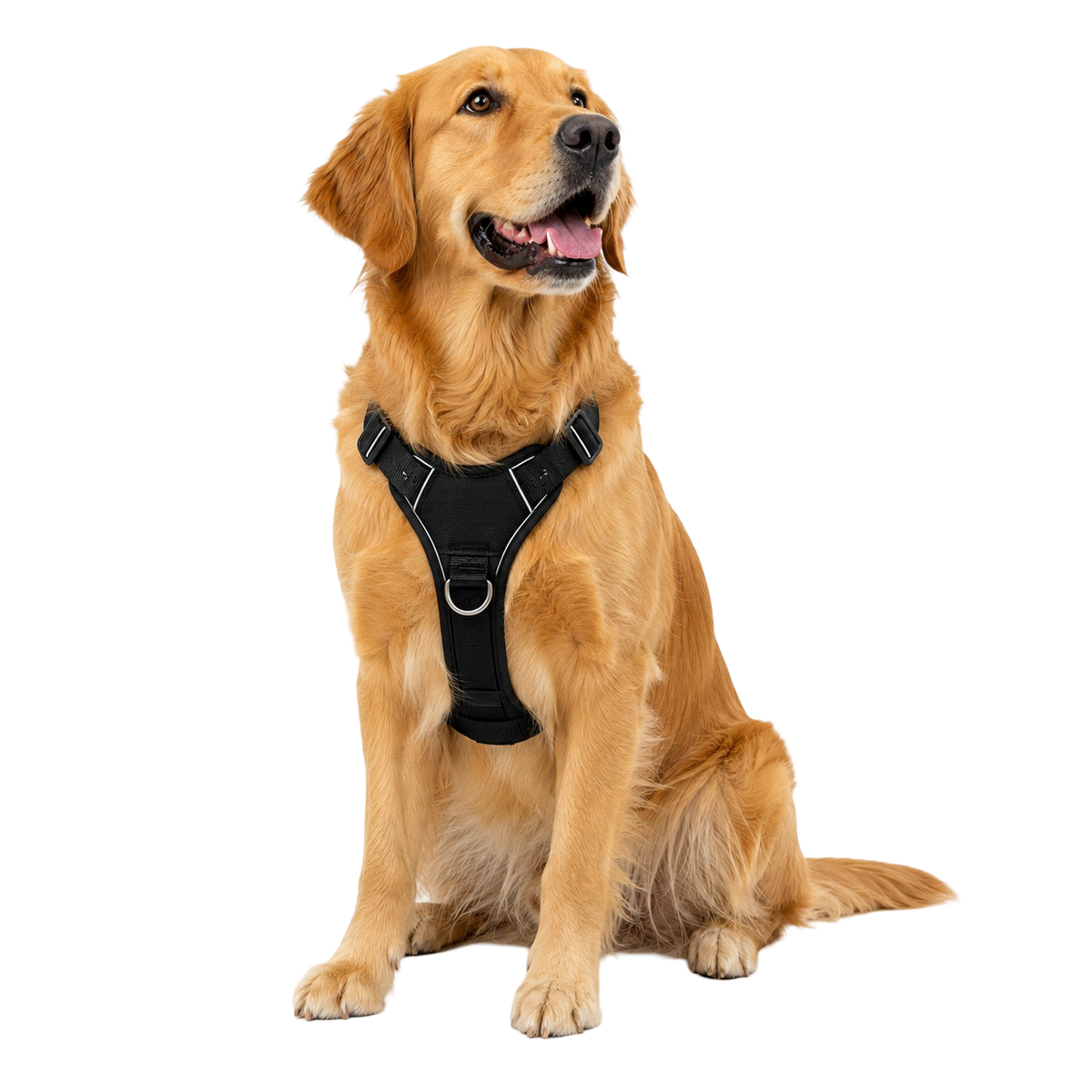 Harnesses