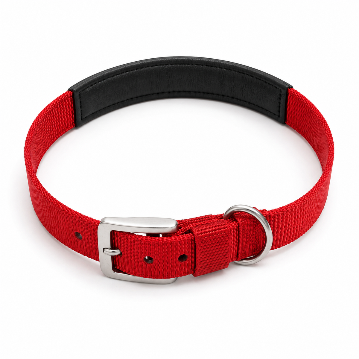 TPL Basics Dog Collar with Padding