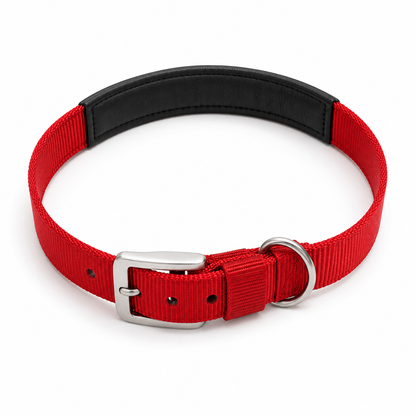 TPL Basics Dog Collar with Padding