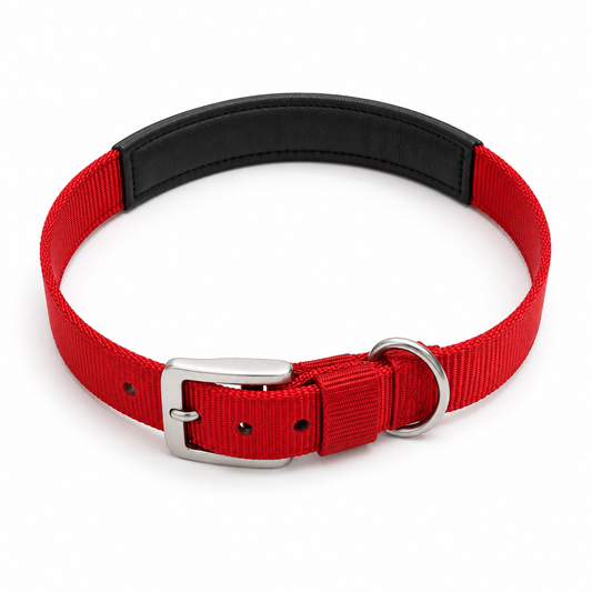 TPL Basics Dog Collar with Padding