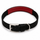 TPL Basics Dog Collar with Padding