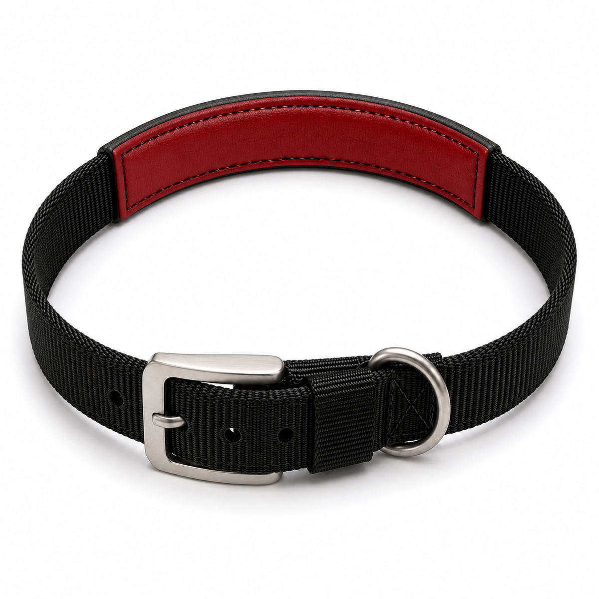 TPL Basics Dog Collar with Padding