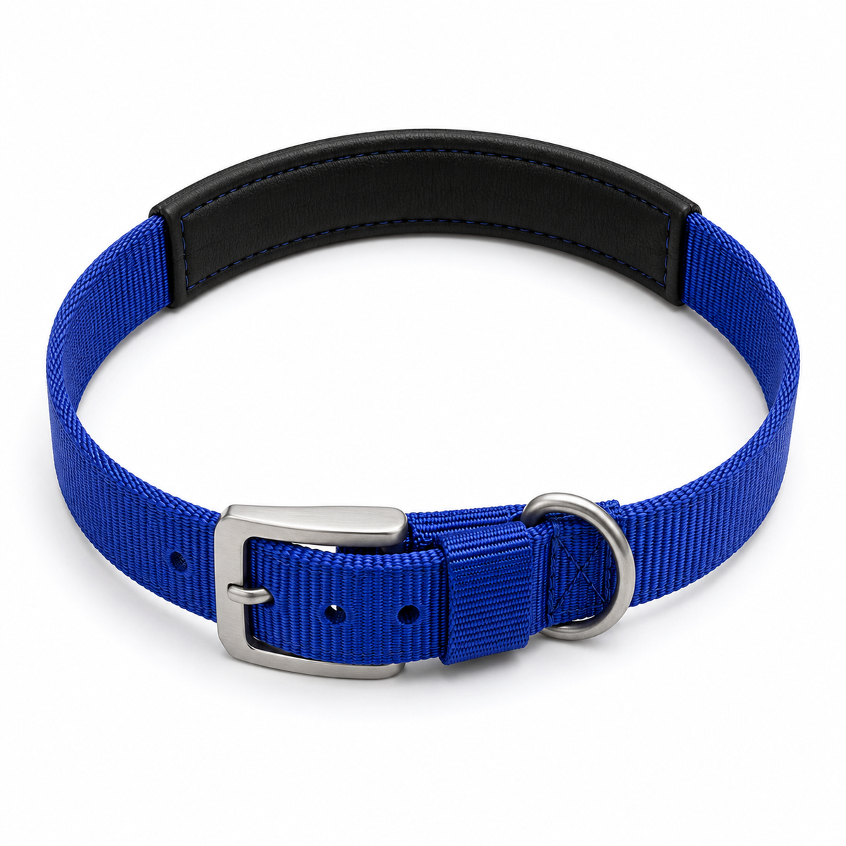TPL Basics Dog Collar with Padding