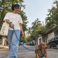 TPL 12mm Rope Leash Blue