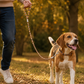TPL 6mm Braided Rope Dog Leash Orange