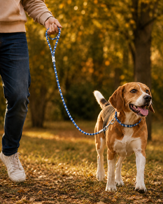 TPL 6mm Braided Rope Dog Leash Blue