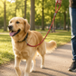 TPL 6mm Braided Rope Dog Leash Red