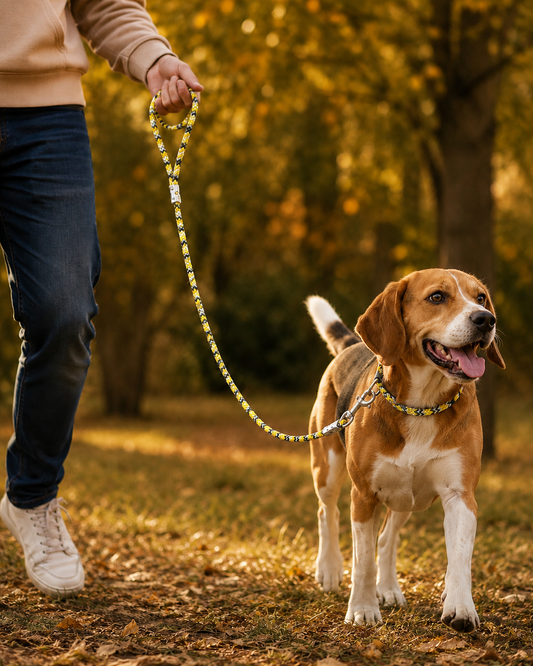 TPL 6mm Braided Rope Dog Leash Yellow