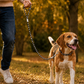 TPL 6mm Braided Rope Dog Leash Black