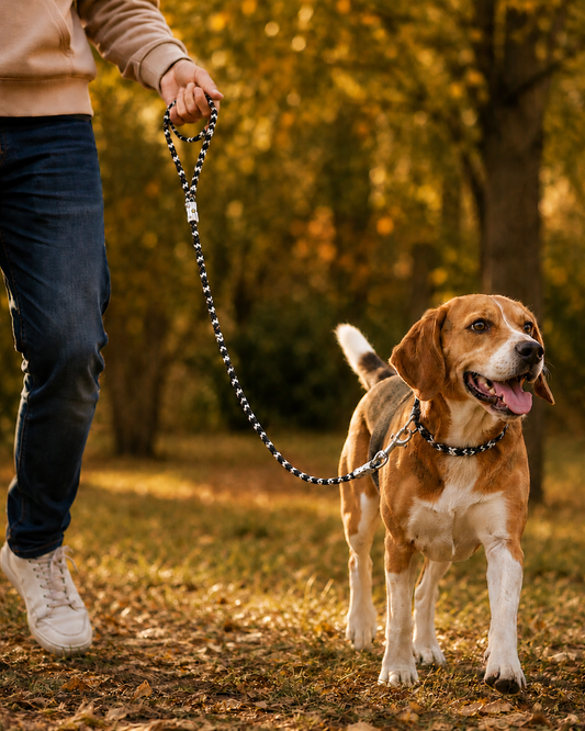 TPL 6mm Braided Rope Dog Leash Black