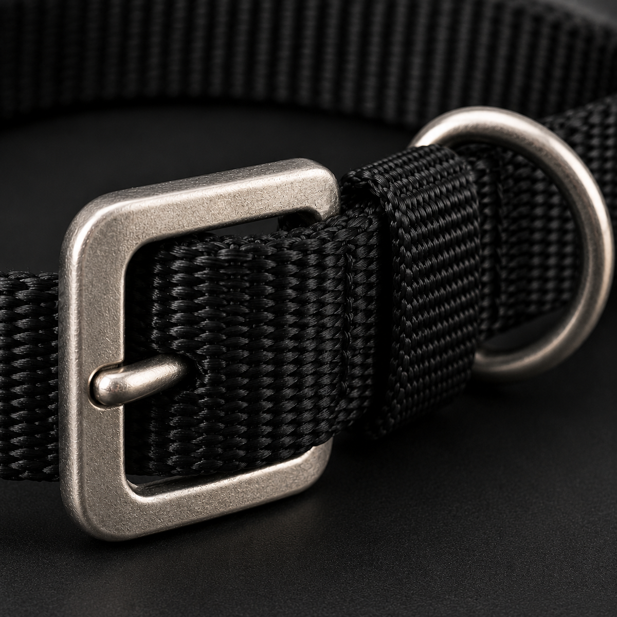 TPL Basics Nylon Collar