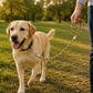 TPL 22mm Nylon Rope Dog Leash Yellow