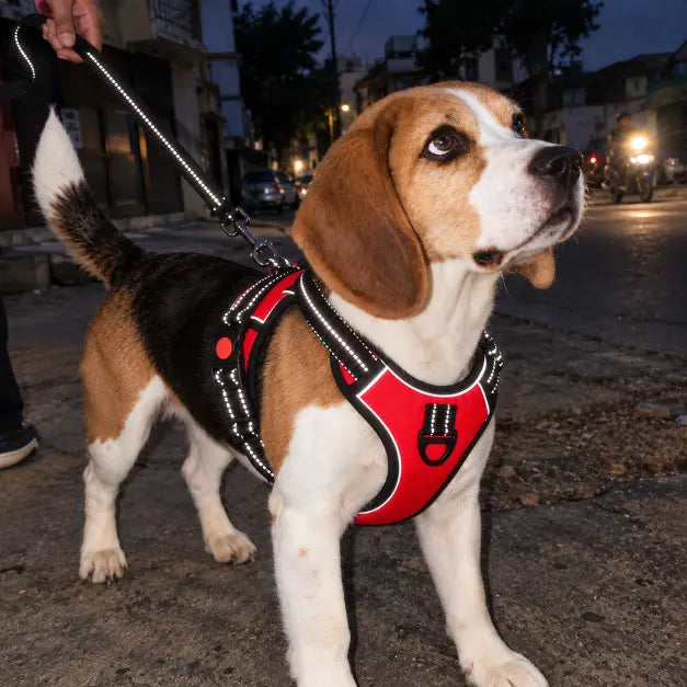 TPL Reflective Dog Harness