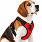 TPL Reflective Dog Harness