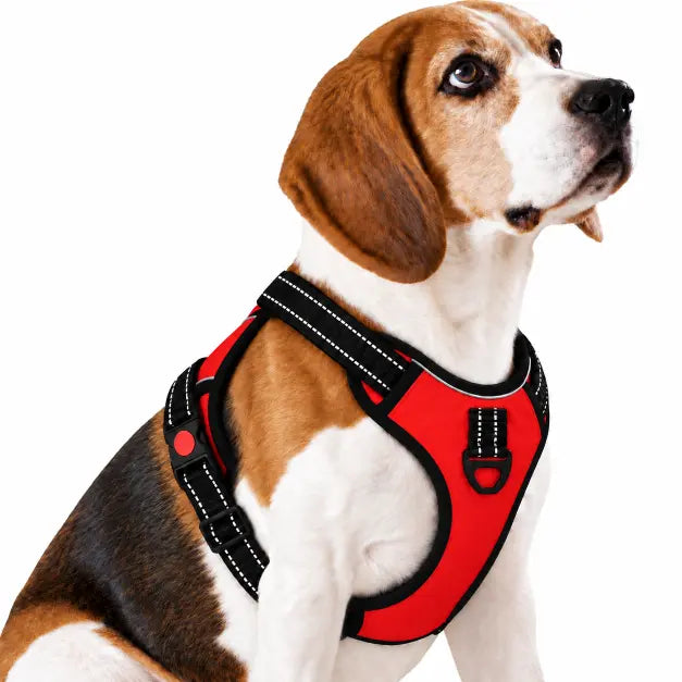 TPL Reflective Dog Harness