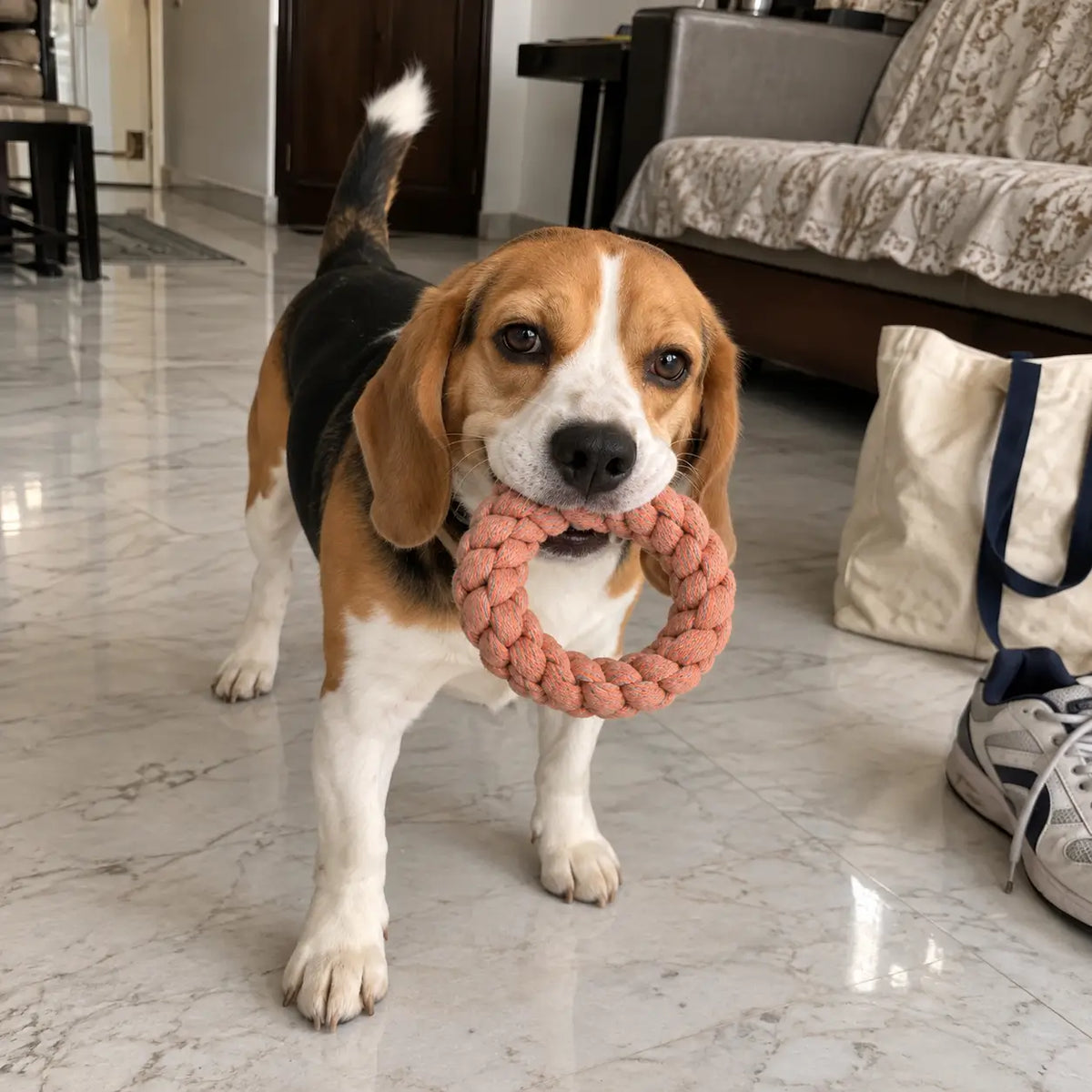 TPL Braided Rope Ring Toy
