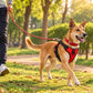 TPL Daily Walk Kit | Padded Harness + Collar + Leash Set | Red