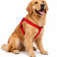Comfy Fit Padded Harness