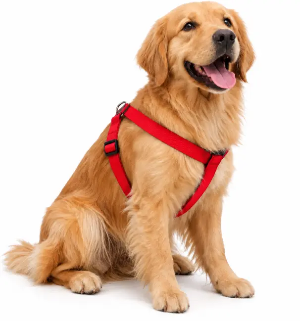 Comfy Fit Padded Harness
