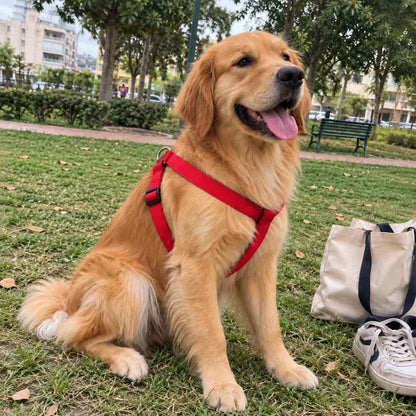Comfy Fit Padded Harness