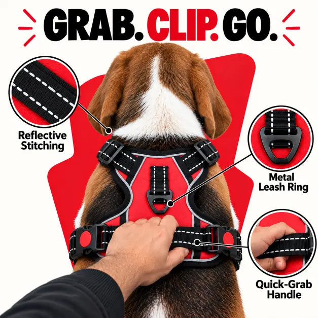 TPL Reflective Dog Harness