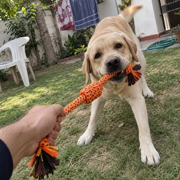 TPL Orange Rope Tug Chew Toy
