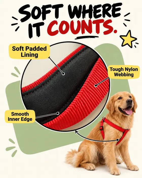 Comfy Fit Padded Harness