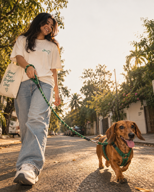 TPL 12mm Rope Leash Green