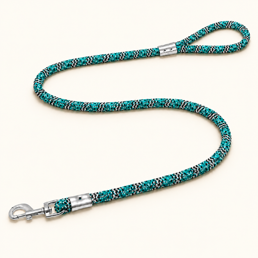 TPL 9mm Braided Rope Dog Leash | Teal